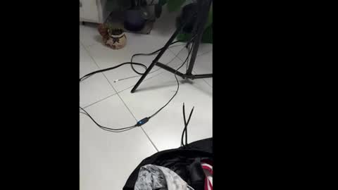 skinnylatin69 online show from January 20, 2:32 am