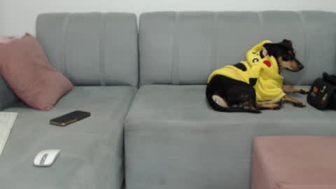 skinnylatin69 online show from February 8, 2:26 am