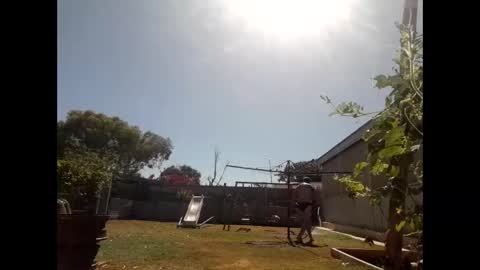 skip1975 online show from December 29, 7:28 am