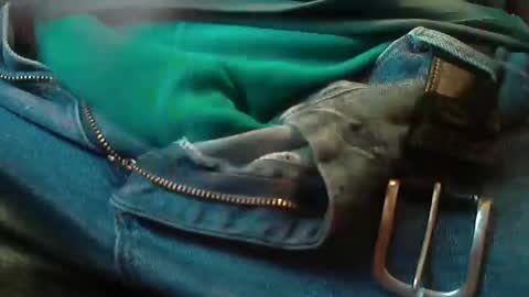 ResqPylot2 online show from February 9, 6:32 pm