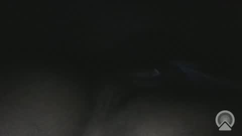 Slim online show from April 28, 4:17 am