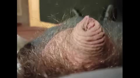 Snapshot of smallhairyuncut chatting on January 27, 3:37 am Small Hairy Uncut online show from January 27, 3:37 am
