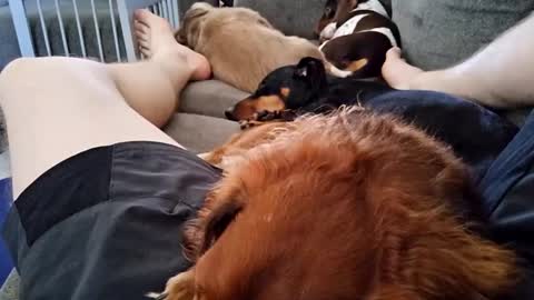 smokynight online show from September 21, 9:08 pm