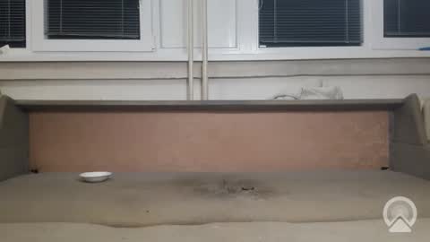 smoothboysk online show from February 12, 1:09 am