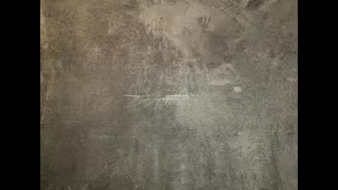 Will Rex online show from January 19, 6:09 am