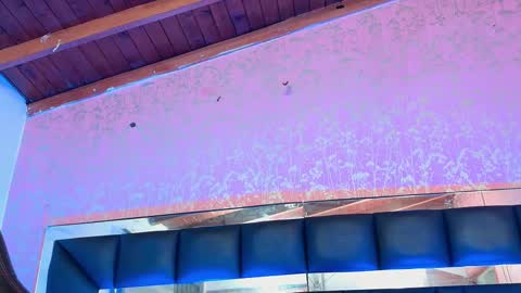 Sofia online show from October 13, 3:08 am