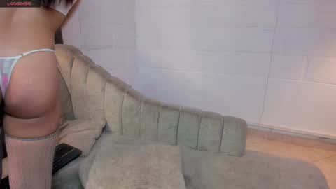 sofy dl online show from December 13, 3:27 am