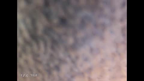 Snapshot of soji008 chatting on October 20, 5:23 am honoko0089 online show from October 20, 5:23 am