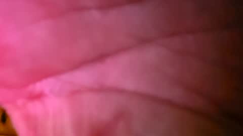sonny413171 online show from August 8, 1:59 am