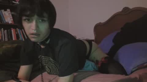 soophiebby online show from January 20, 9:24 am