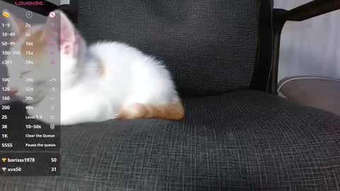 Sophie online show from October 26, 11:37 pm