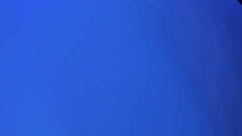 Sofi online show from February 24, 12:05 pm