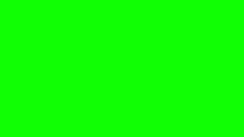 Bob online show from February 23, 12:16 pm