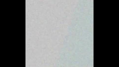 SSBWCSS online show from October 5, 1:30 pm