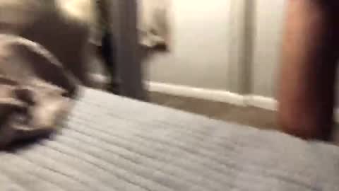 ssportz1392 online show from November 3, 2:56 am