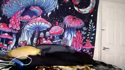 Star Vega online show from January 4, 5:58 am