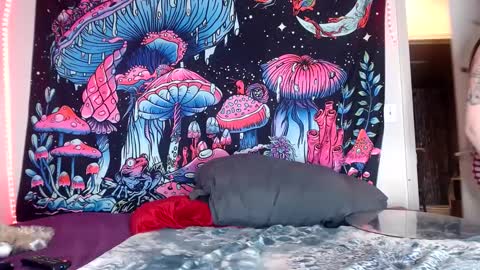 Star Vega online show from December 12, 10:45 am