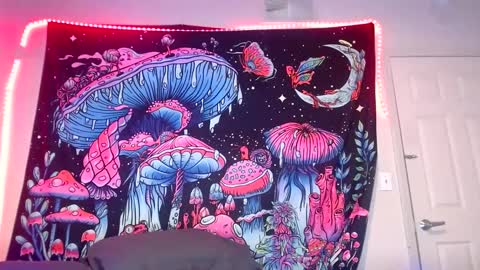 Star Vega online show from December 21, 7:03 am