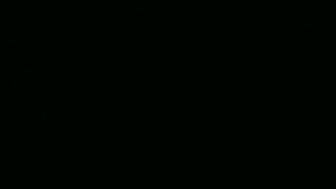 steflab online show from January 6, 10:30 am