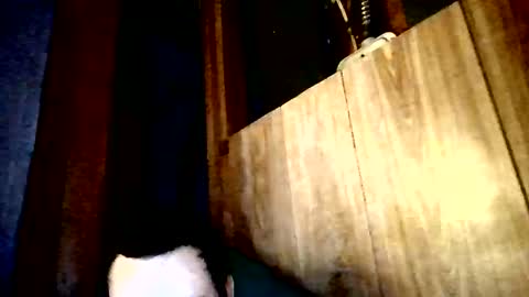 stonedstallion2019 online show from April 2, 7:32 pm