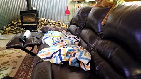 stricktlypleasure online show from January 15, 4:32 am