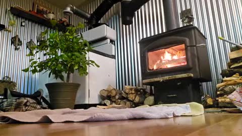 stricktlypleasure online show from January 4, 7:55 am