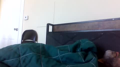 strictdaddy13 online show from February 21, 2:38 pm