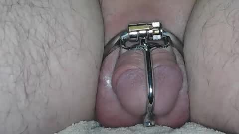 subchastityhere online show from October 21, 4:21 pm