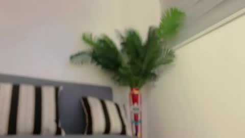 Jess online show from February 7, 7:29 am