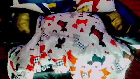 Sunny Marcie online show from February 3, 5:03 pm