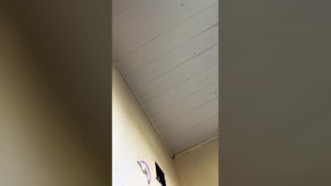 surfista177 online show from April 18, 6:21 pm