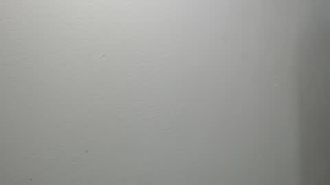 Snapshot of sussy_leon chatting on February 26, 12:05 pm sussy leon online show from February 26, 12:05 pm