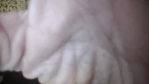 suzuki1250 online show from April 5, 7:27 am