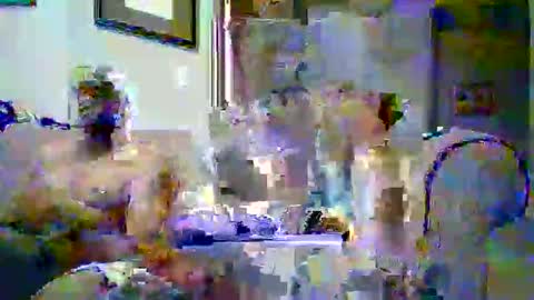 Playboy online show from November 27, 4:53 am