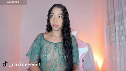 camil online show from January 7, 12:31 pm