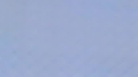 Catalina online show from February 1, 11:06 pm