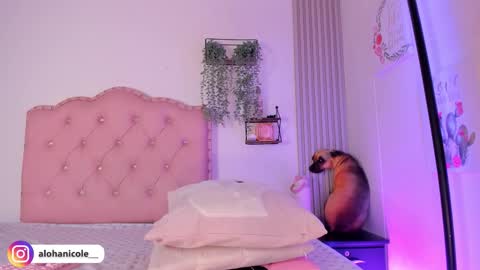 Nicol online show from October 25, 7:19 am