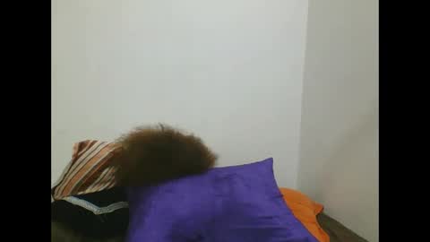 Snapshot of sweetafricangal chatting on February 25, 4:46 pm NASHA online show from February 25, 4:46 pm