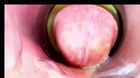 sweetkreme69 online show from October 14, 3:53 am