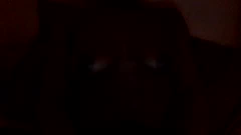 syiatonite online show from March 27, 11:44 am