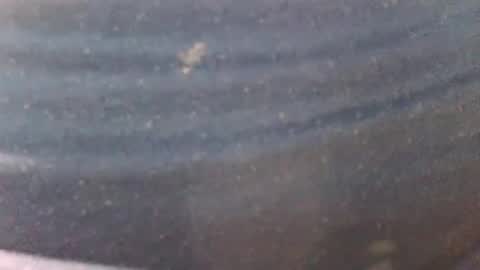 Snapshot of syrius57920 chatting on January 18, 4:59 am syrius57920 online show from January 18, 4:59 am