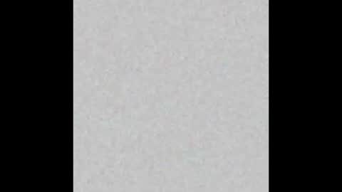 Toneio online show from March 2, 11:17 am