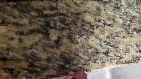 Canon online show from March 2, 4:46 pm