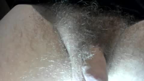 mr taco online show from October 31, 9:26 pm