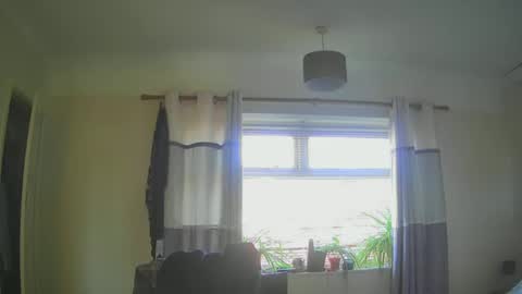 Tas online show from February 2, 1:30 pm