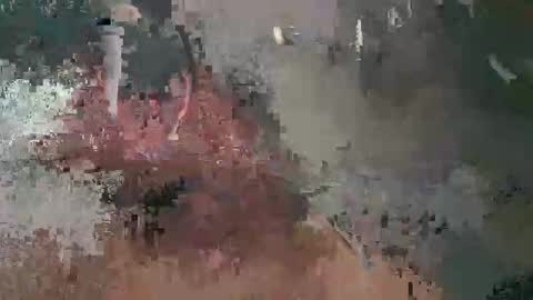 Luis online show from February 17, 7:15 am