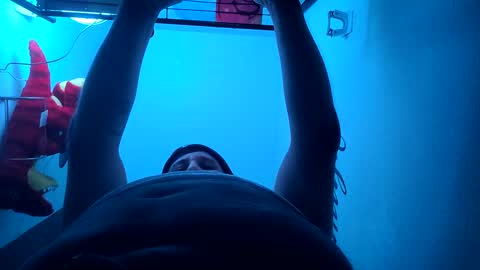 Luis online show from January 13, 1:02 am