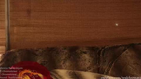 Mistress Teal Chromatic online show from October 19, 8:08 am