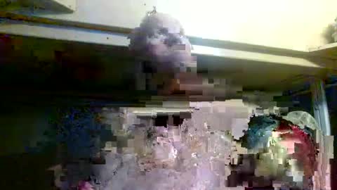 terdy2366 online show from October 22, 7:33 am