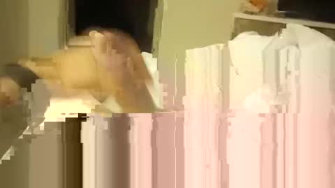 tes1985 online show from October 9, 12:38 am